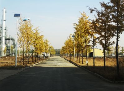 廠區(qū)風貌